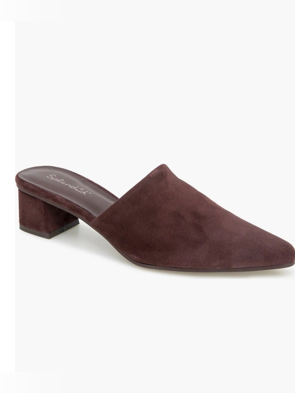 Splendid Pointed Lyn Leather Suede Mule in Brown